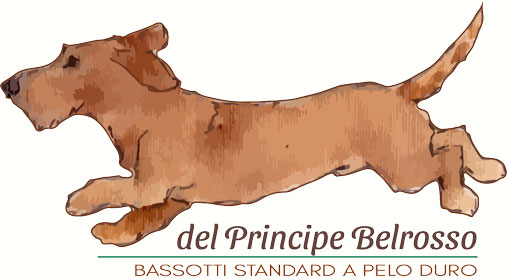 Allevamento del Principe Belrosso